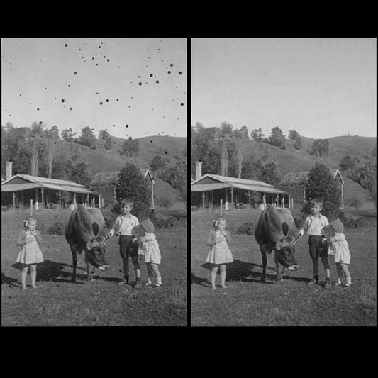 Photo Restoration